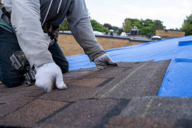 Roof Gutter Cleaning in Meadville, PA