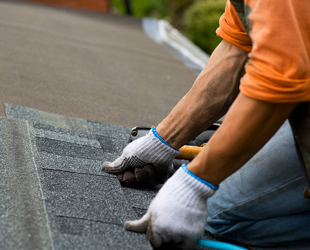 Best Roof Gutter Cleaning  in Meadville, PA
