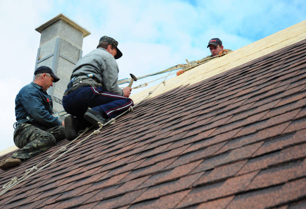 Best Gutter Installation and Roofing  in Meadville, PA
